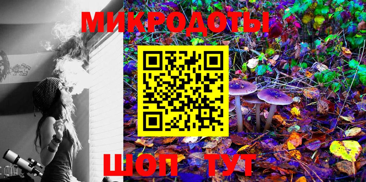 Псилоцибиновые грибы Psilocybine cubensis Буйнакск