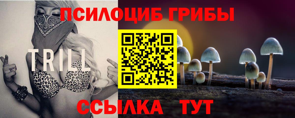 Буйнакск  Псилоцибиновые грибы мухоморы  Вход с VPN  купить наркотики сайты  Псилоцибиновые грибы мухоморы 